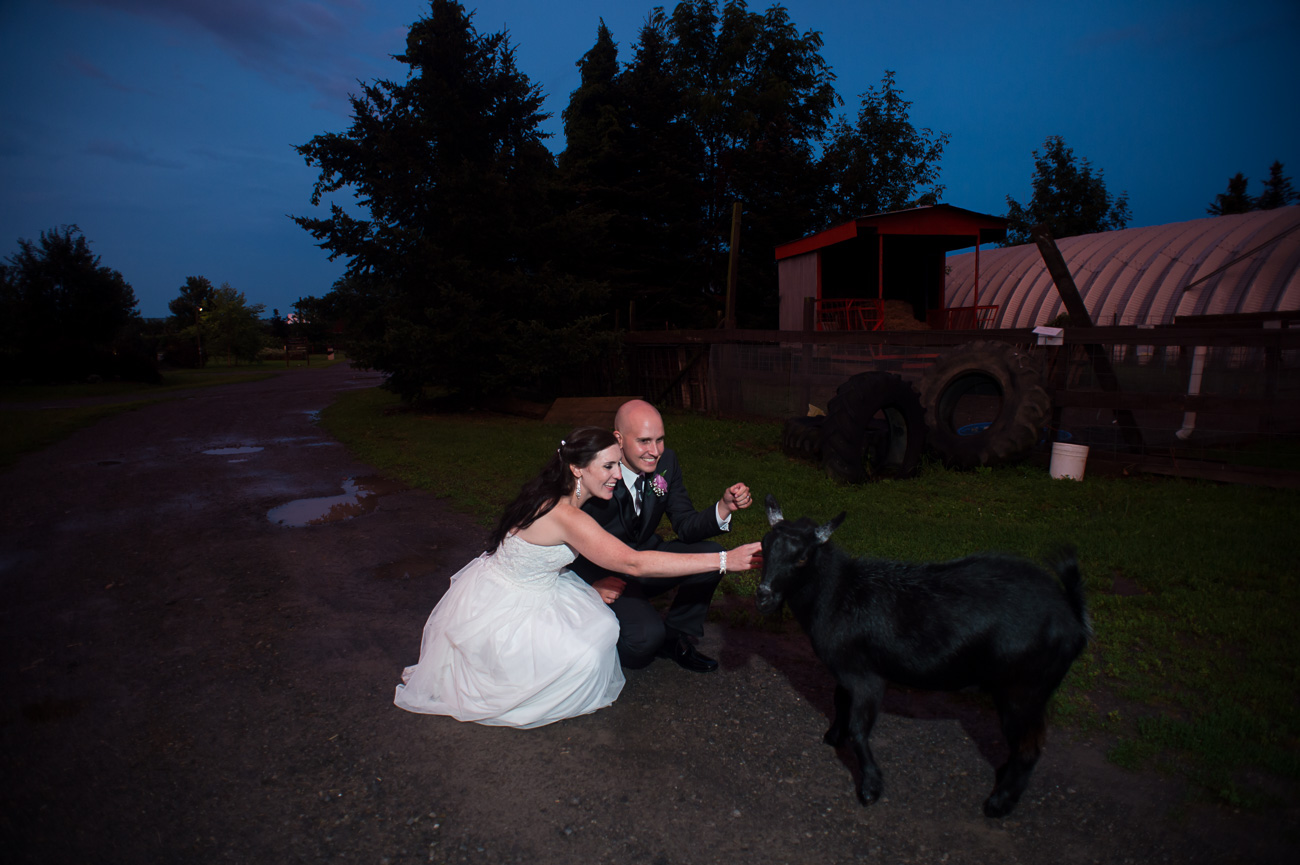 Becker-Farms-Vineyards-Wedding-Sunset-788