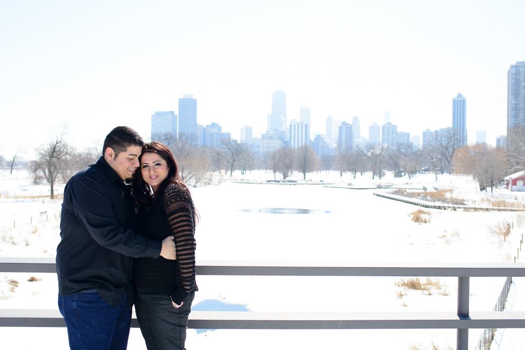 Blog_Chicago-engagment-photography-anniversary-session-lincoln-park-conservatory-honey-comb-downtown-skyline (16 of 17)