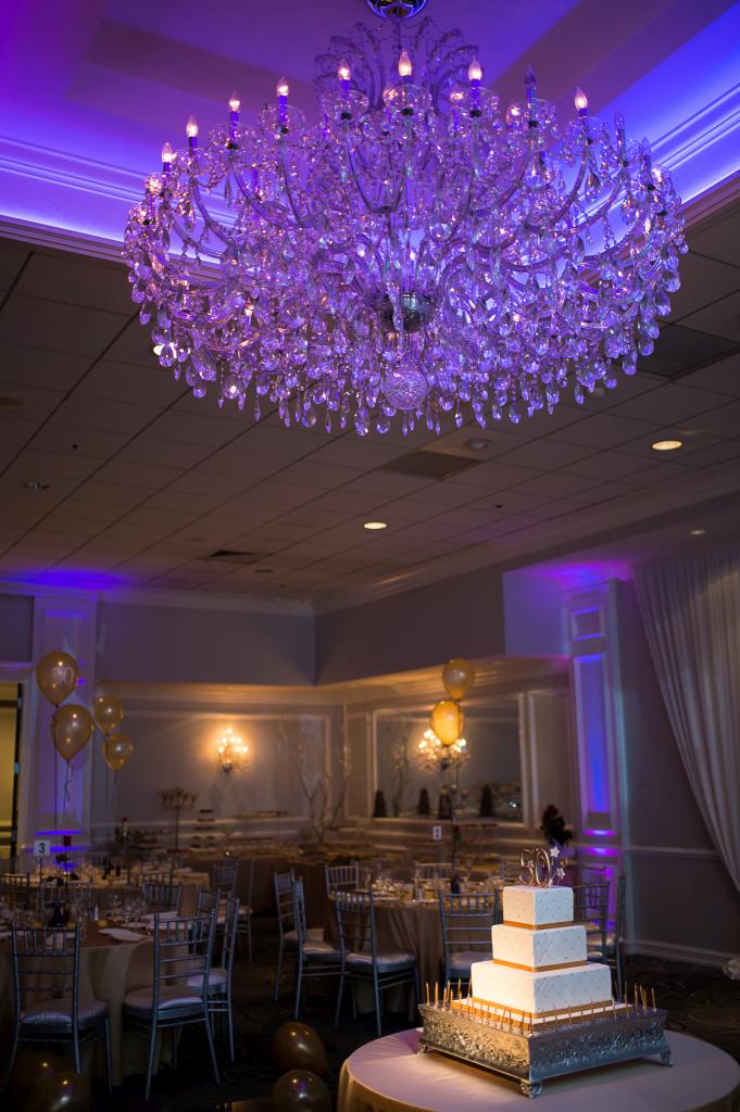 Blog_chicago-event-photographer-birthday-party (3 of 44)