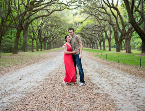 Road Trip to Charleston and Savannah