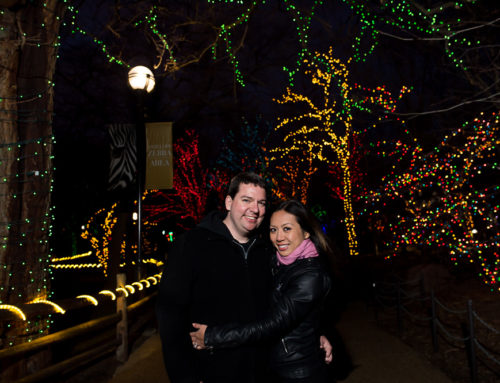 Lincoln Park Zoo Lights Session