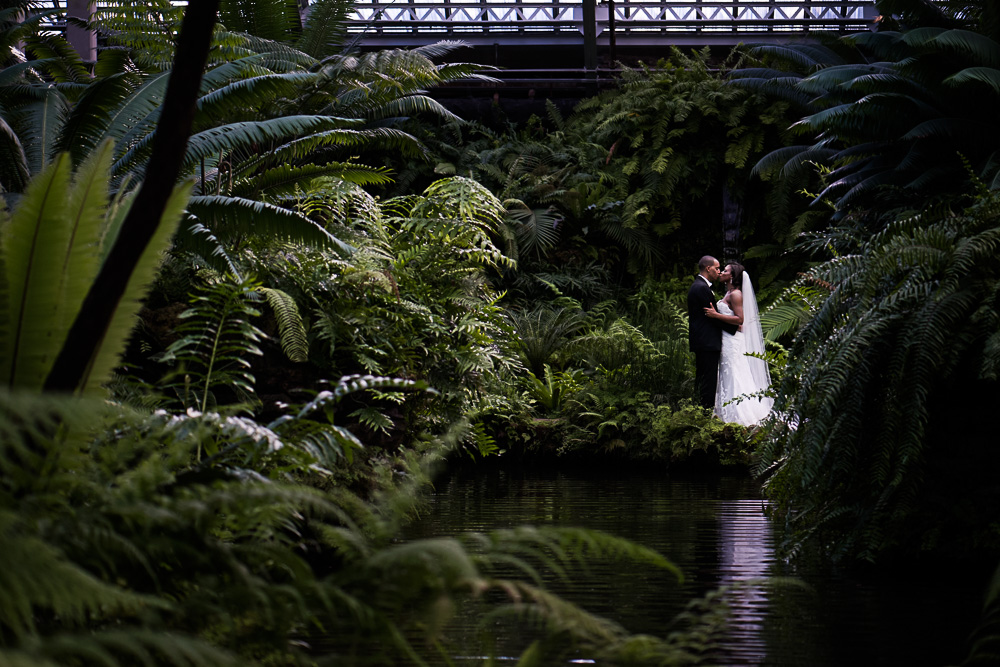 conservatory-wedding-rochester-wedding-photographer-4